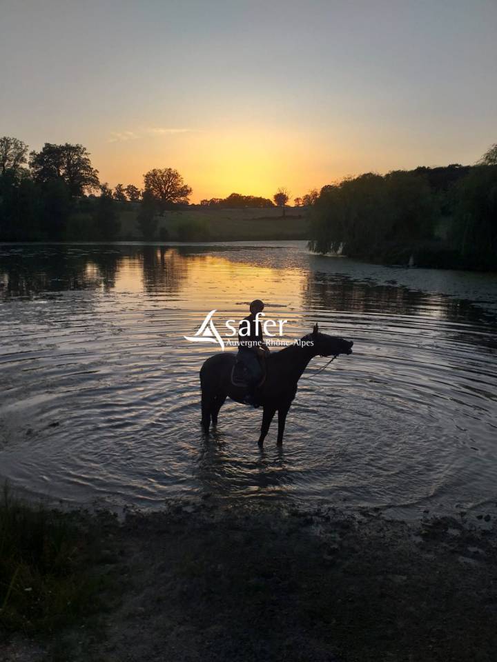 Propiedad rural En venta Allier