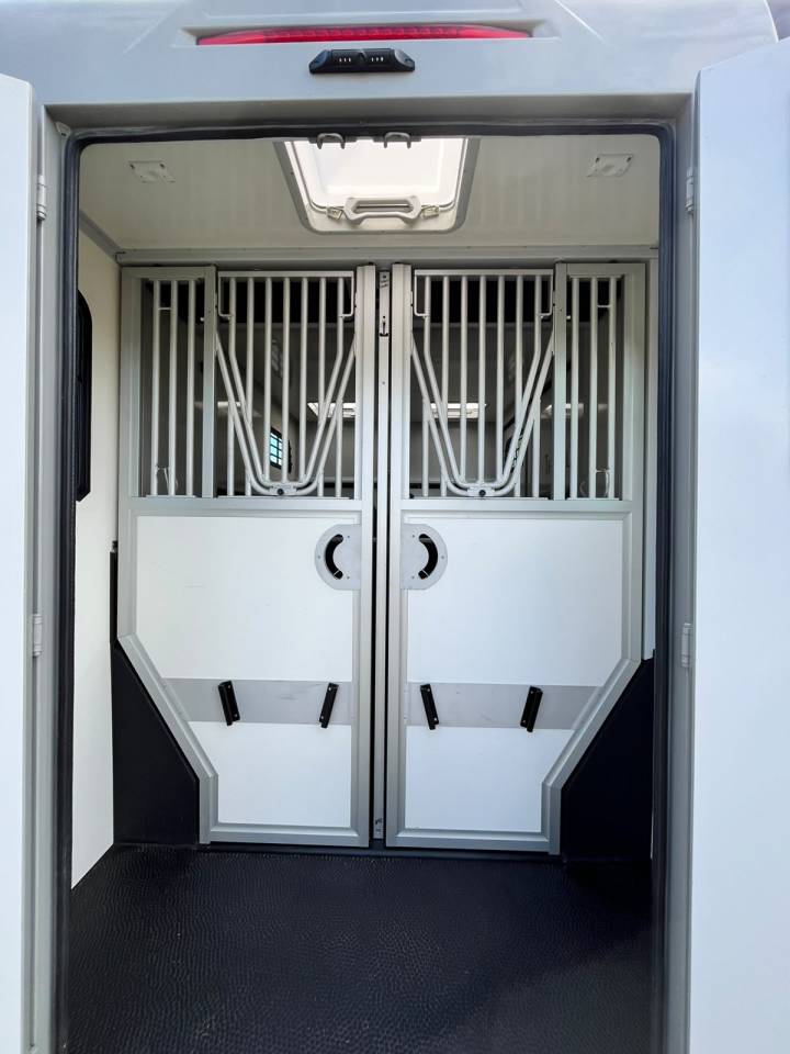 Furgoneta para caballos Theault   Renault Master  - THEAULT Proton 5L 2023 De segunda mano
