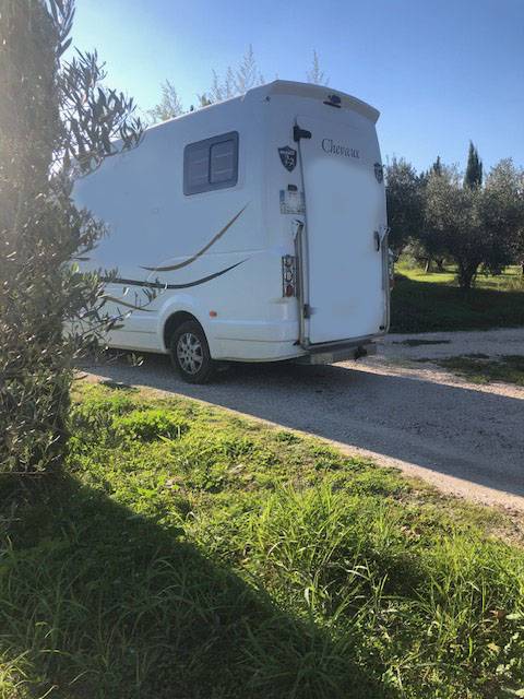 Furgoneta para caballos Renault barbot XL 2020 De segunda mano