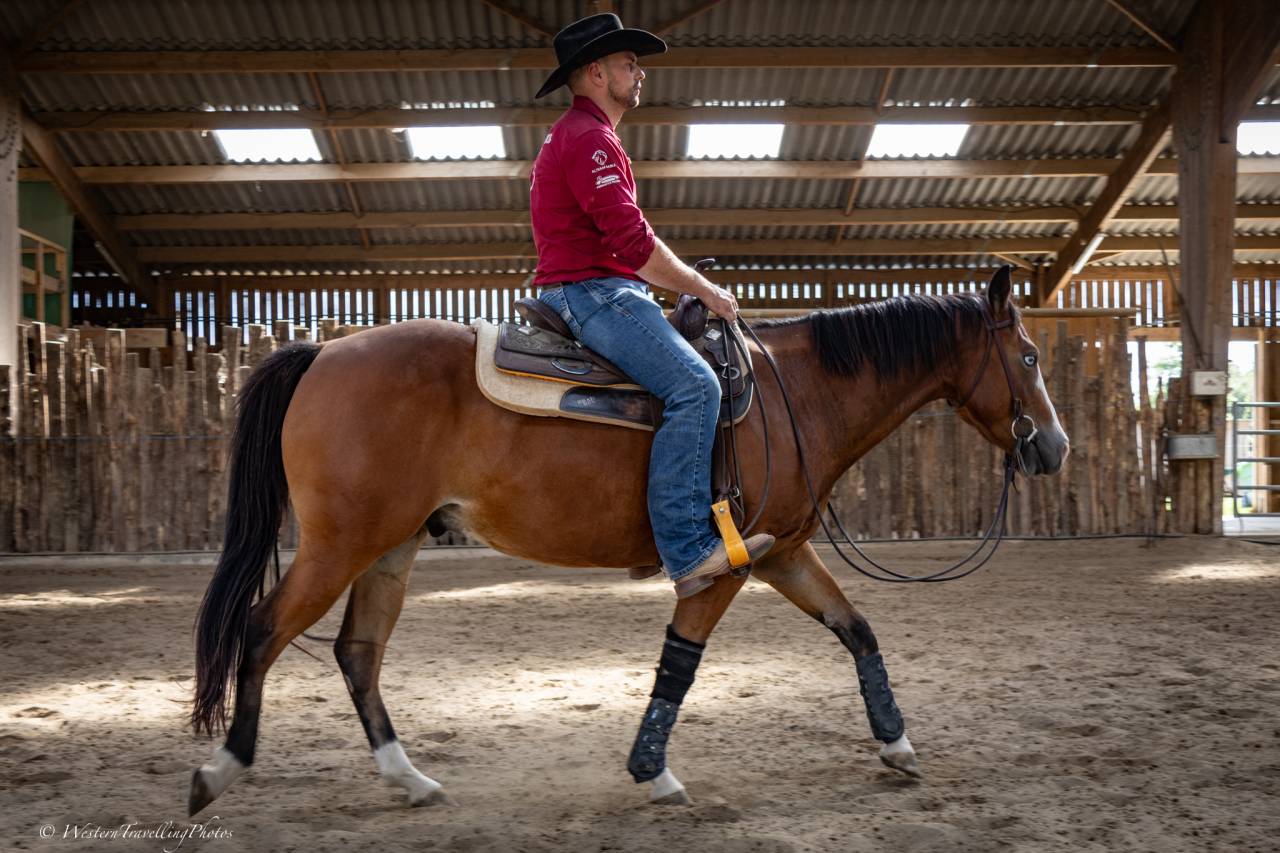Caballo castrado Quarter Horse En venta 2024 Bayo por MAGIC BLACK ANTINORI