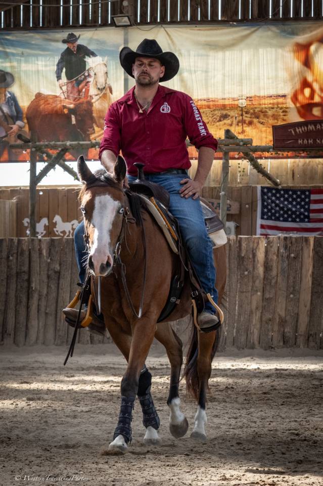 Caballo castrado Quarter Horse En venta 2024 Bayo por MAGIC BLACK ANTINORI