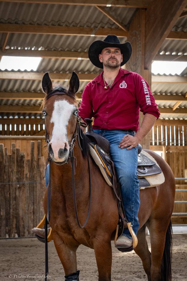 Caballo castrado Quarter Horse En venta 2024 Bayo por MAGIC BLACK ANTINORI