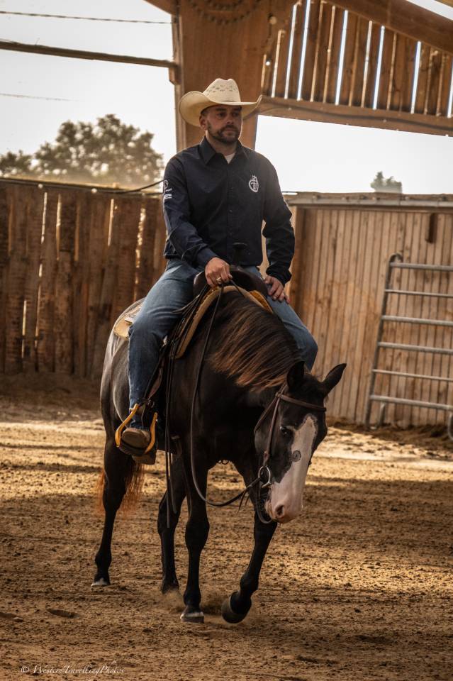 Yegua Paint Horse En venta 2024 Bocifuego por FOREST DU TR