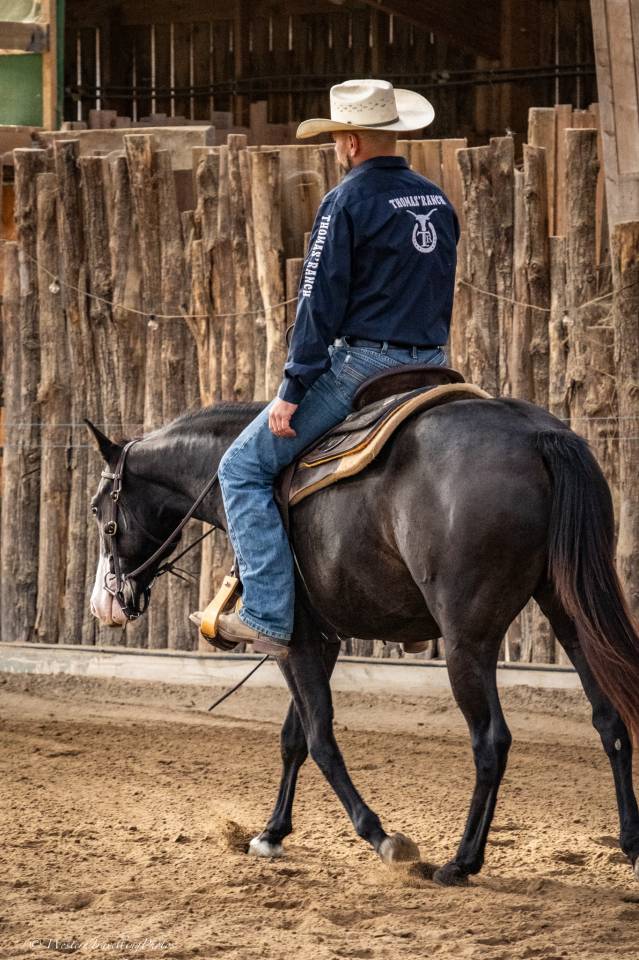 Yegua Paint Horse En venta 2024 Bocifuego por FOREST DU TR