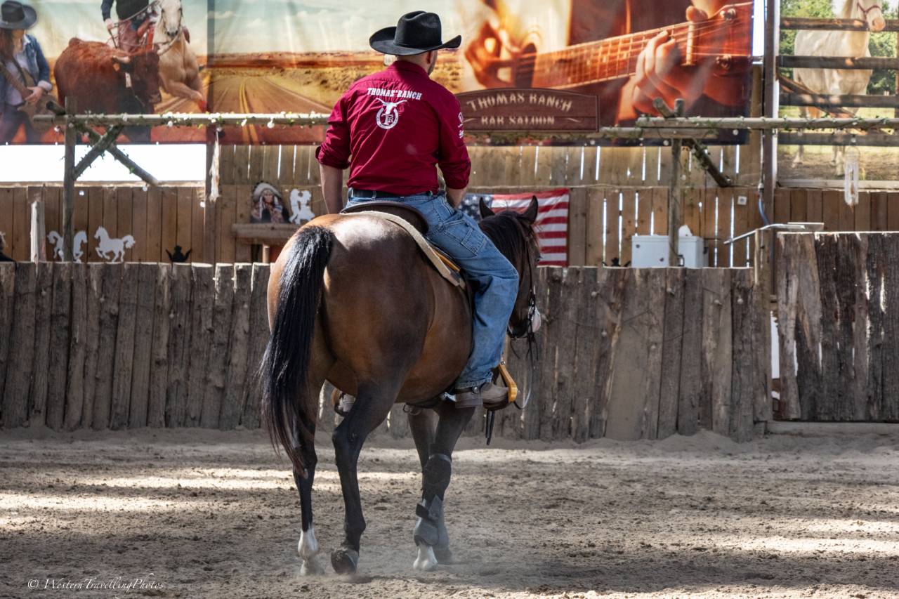 Yegua Quarter Horse En venta 2023 Bayo por MAGIC BLACK ANTINORI