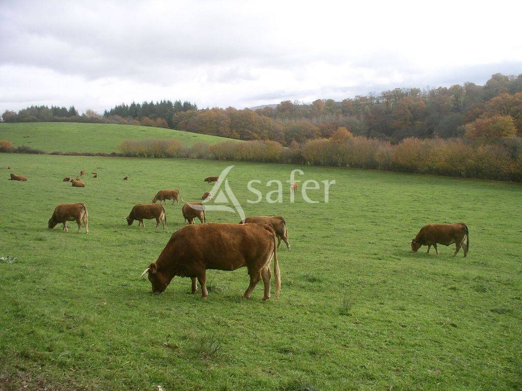 Explotaci&oacute;n agr&iacute;cola En venta Creuse