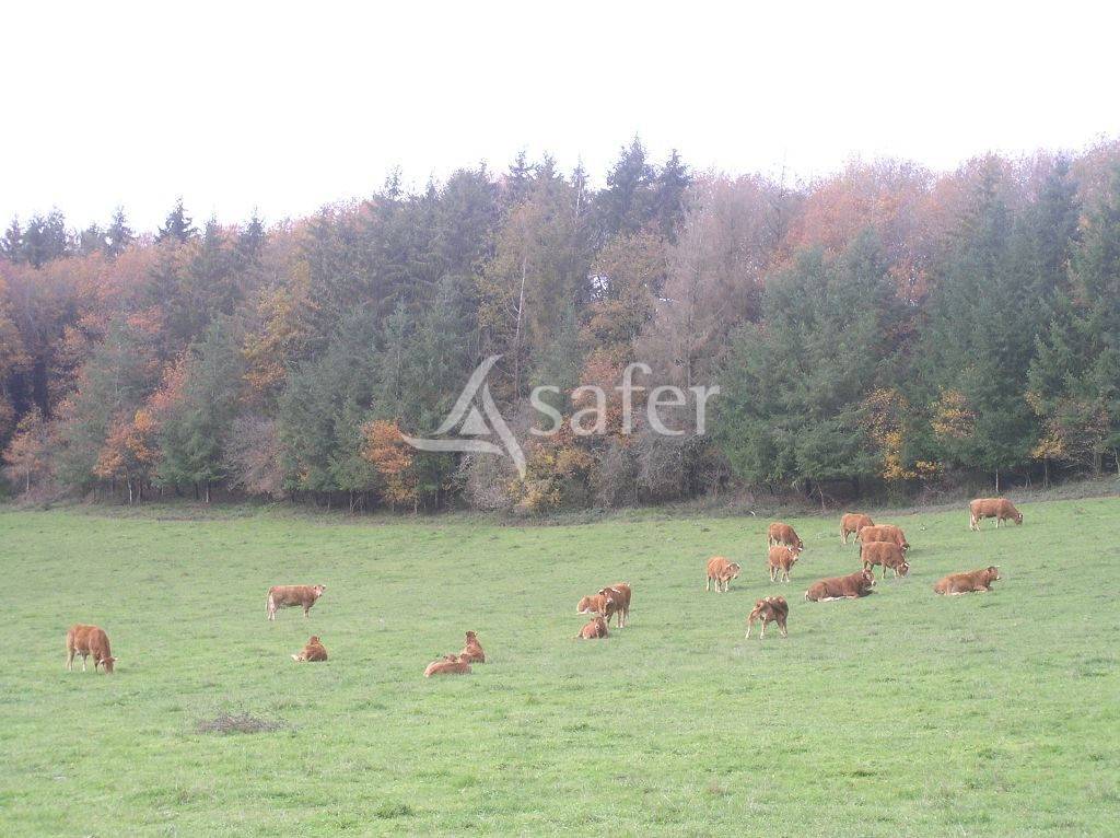 Explotaci&oacute;n agr&iacute;cola En venta Creuse