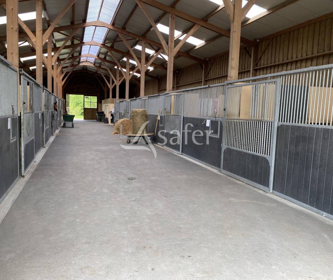 Propiedad ecuestre En venta Calvados