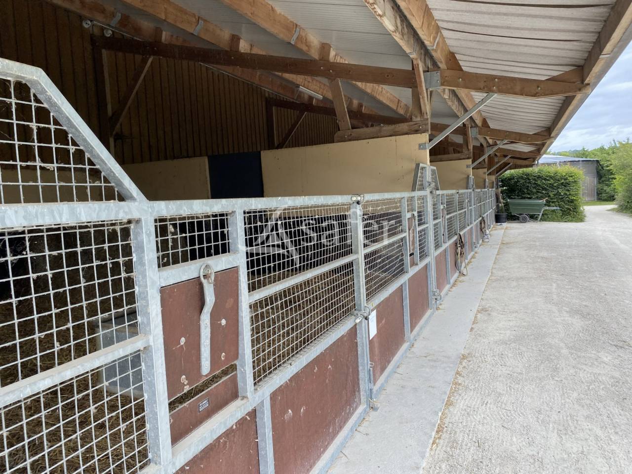 Propiedad ecuestre En venta Calvados