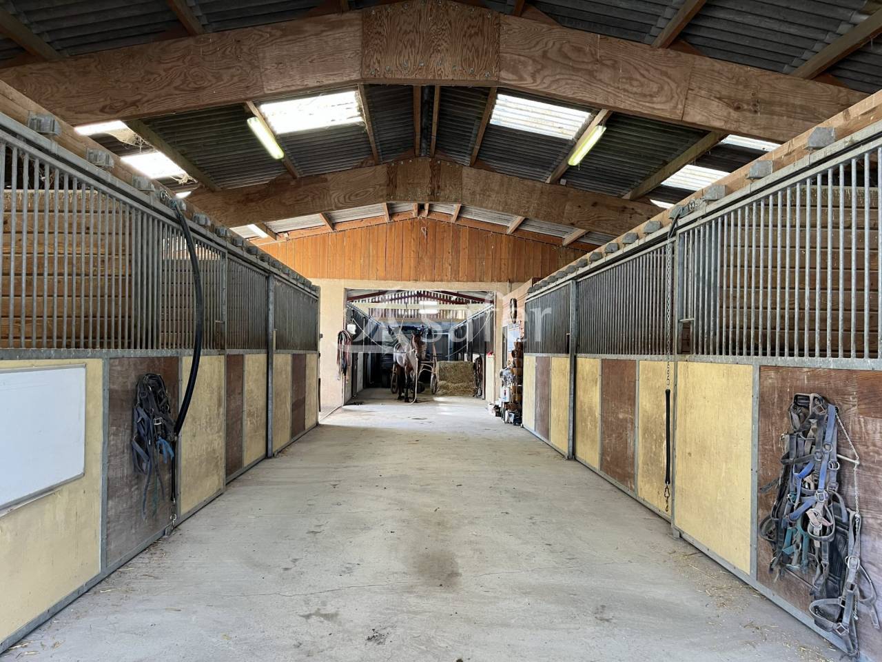 Propiedad ecuestre En venta Calvados