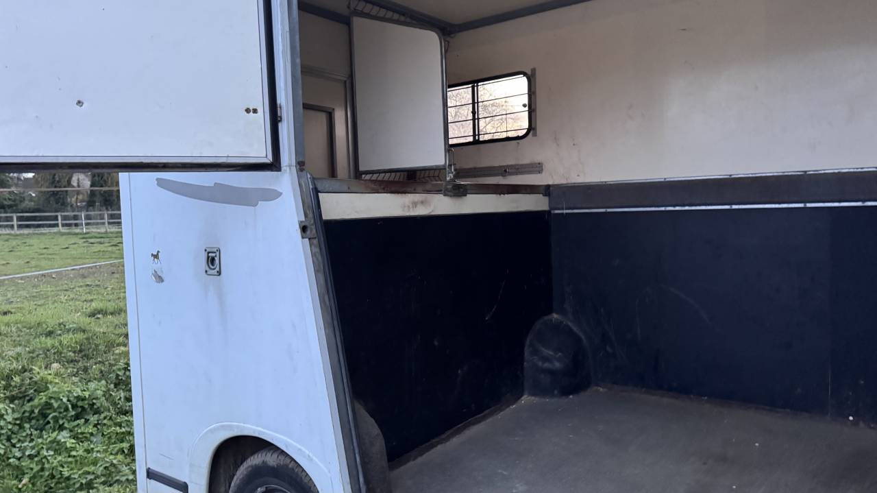 Furgoneta para caballos Renault Master 2005 De segunda mano
