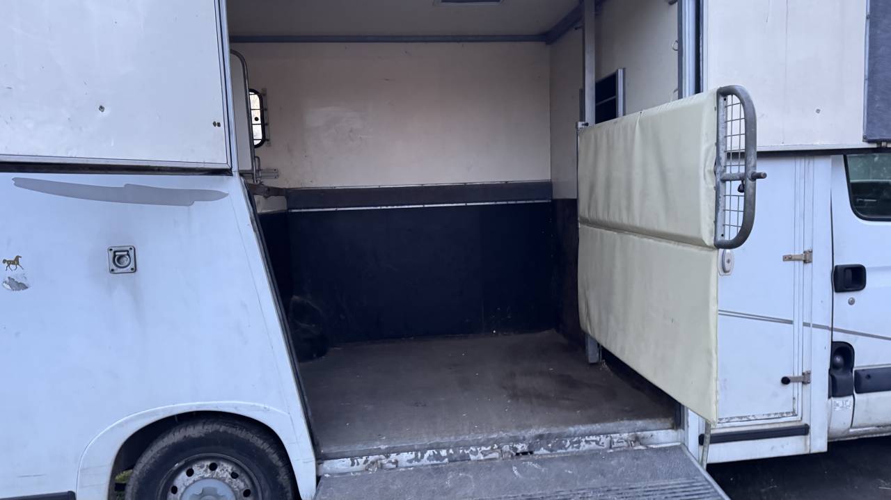 Furgoneta para caballos Renault Master 2005 De segunda mano