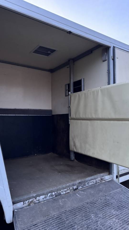 Furgoneta para caballos Renault Master 2005 De segunda mano