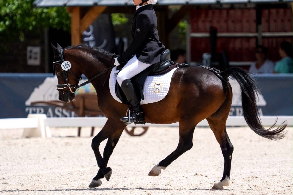Poni b competici&oacute;n 