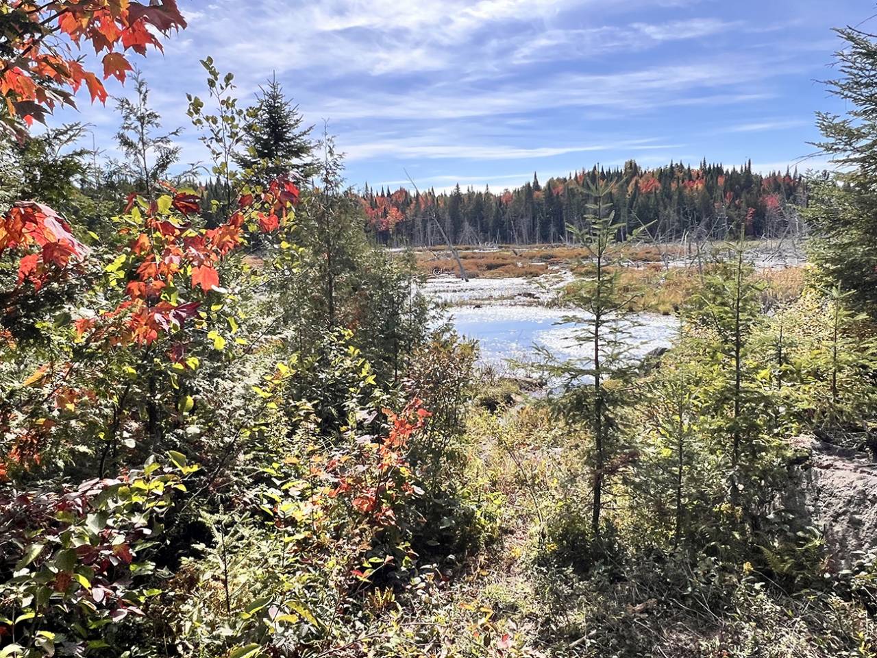 Propiedad ecuestre En venta Qu&eacute;bec