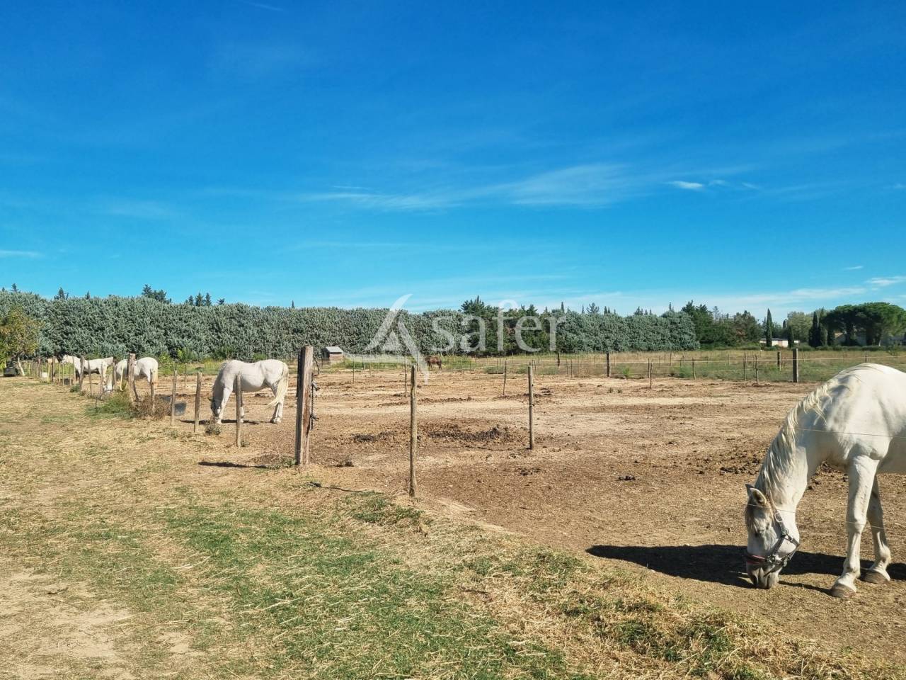 Propiedad ecuestre En venta Gard
