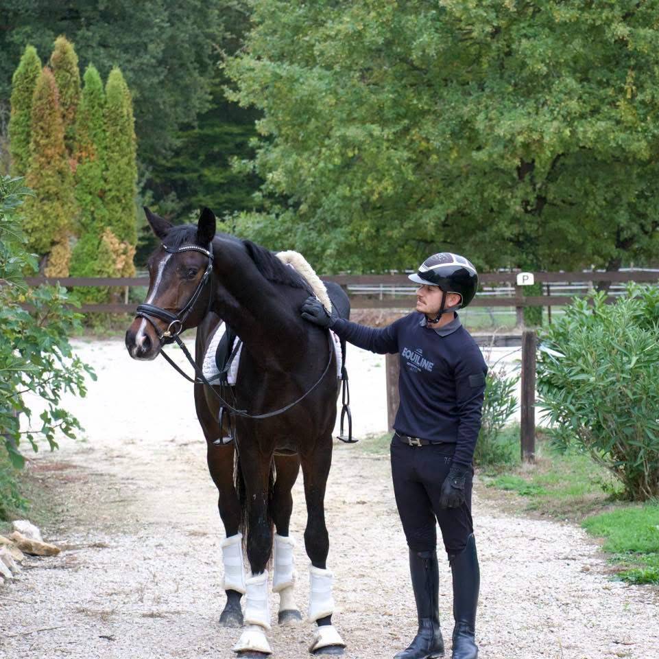 Caballo castrado KWPN Caballo de Deporte Neerland&eacute;s En venta 2023 Bayo moreno por FOR FERRERO