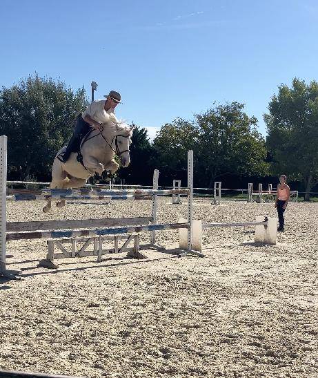 Caballo castrado PFS Poni Fran&ccedil;&eacute;s de Silla En venta 2017 Palomino