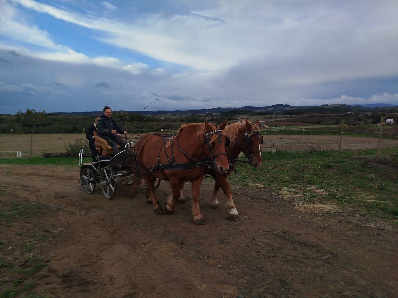 Yegua Tiro En venta 2023 Alaz&aacute;n