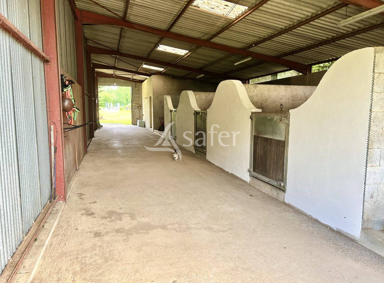 Propiedad ecuestre En venta Vend&eacute;e