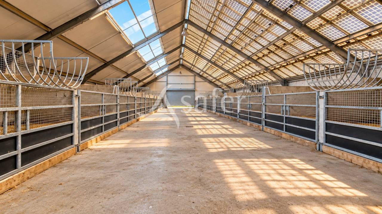 Propiedad ecuestre En venta Orne