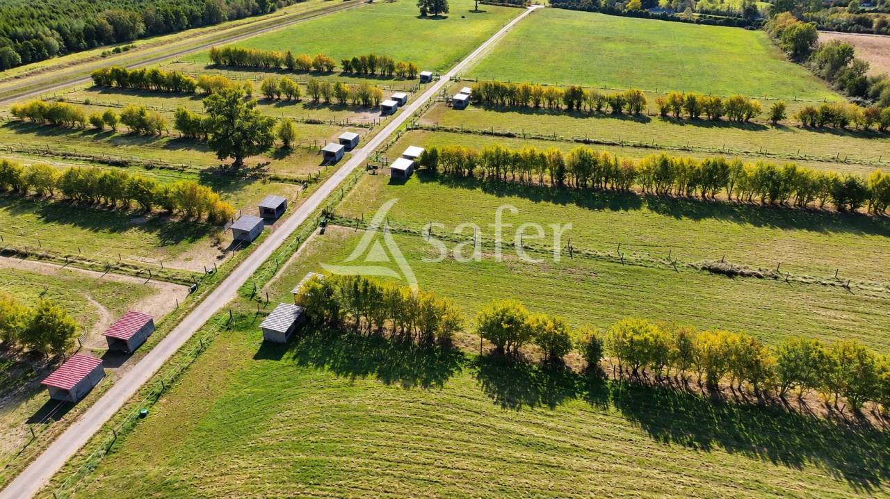 Propiedad ecuestre En venta Orne
