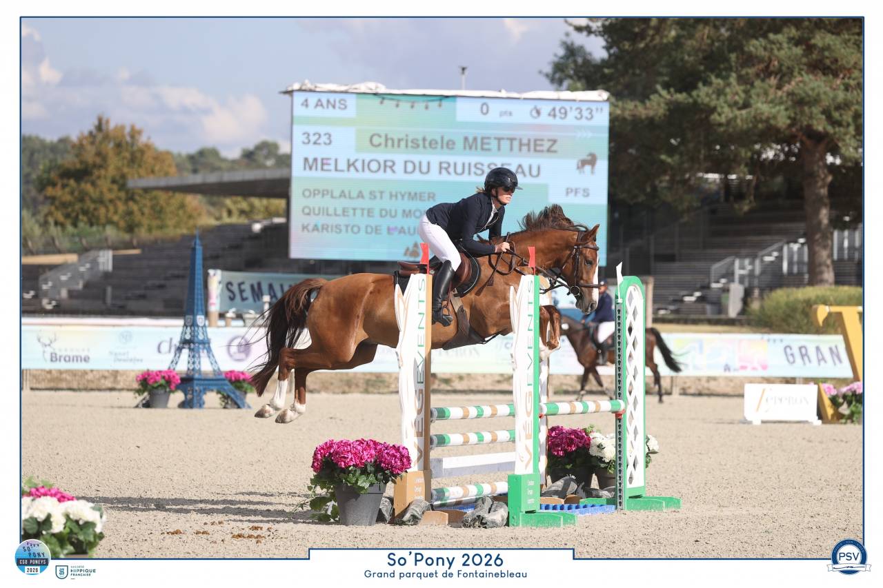 Caballo castrado PFS Poni Fran&ccedil;&eacute;s de Silla Pr&eacute;stamo 2022 Alaz&aacute;n por OPPLALA ST HYMER
