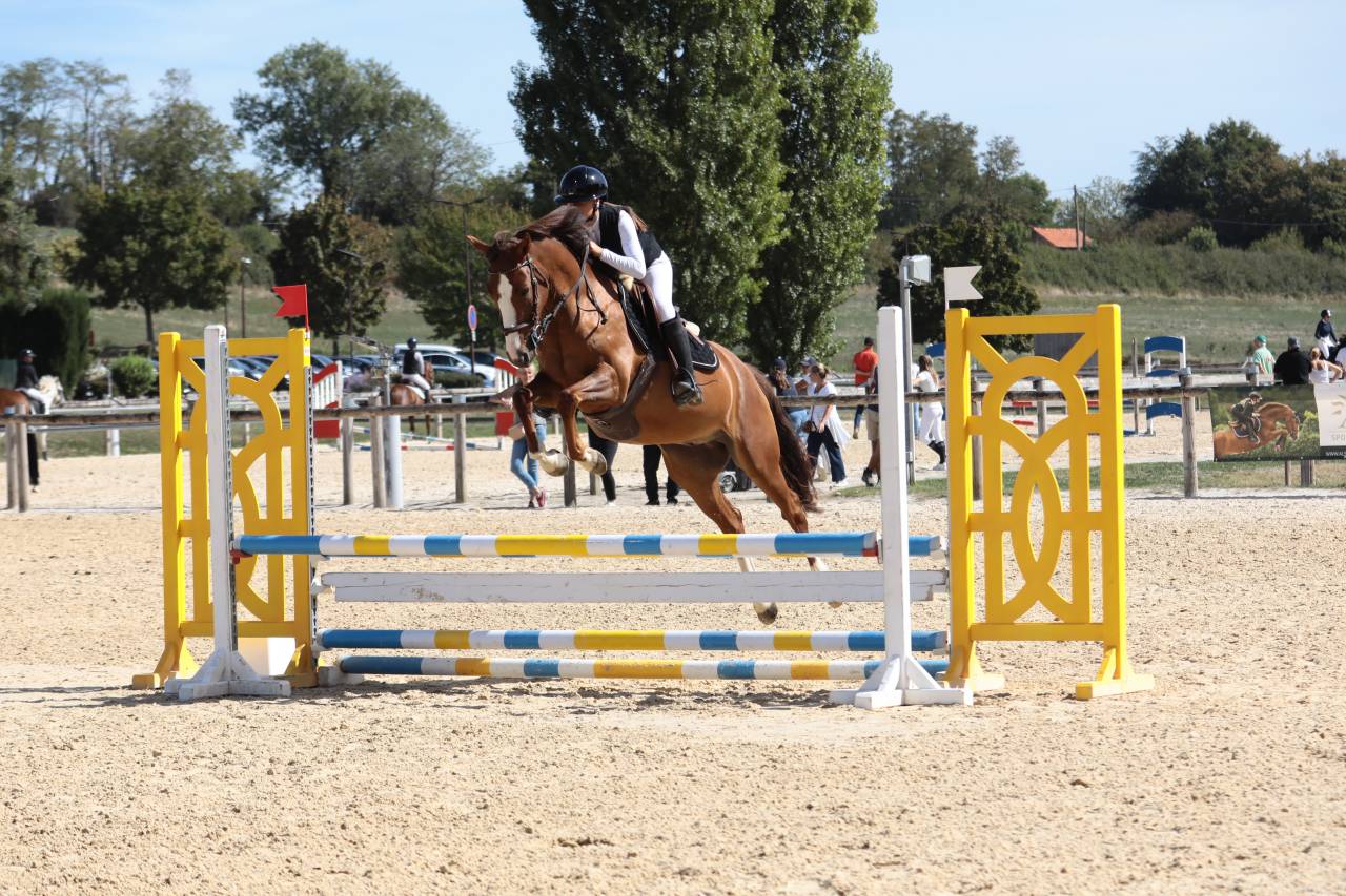 Caballo castrado PFS Poni Fran&ccedil;&eacute;s de Silla Pr&eacute;stamo 2022 Alaz&aacute;n por OPPLALA ST HYMER