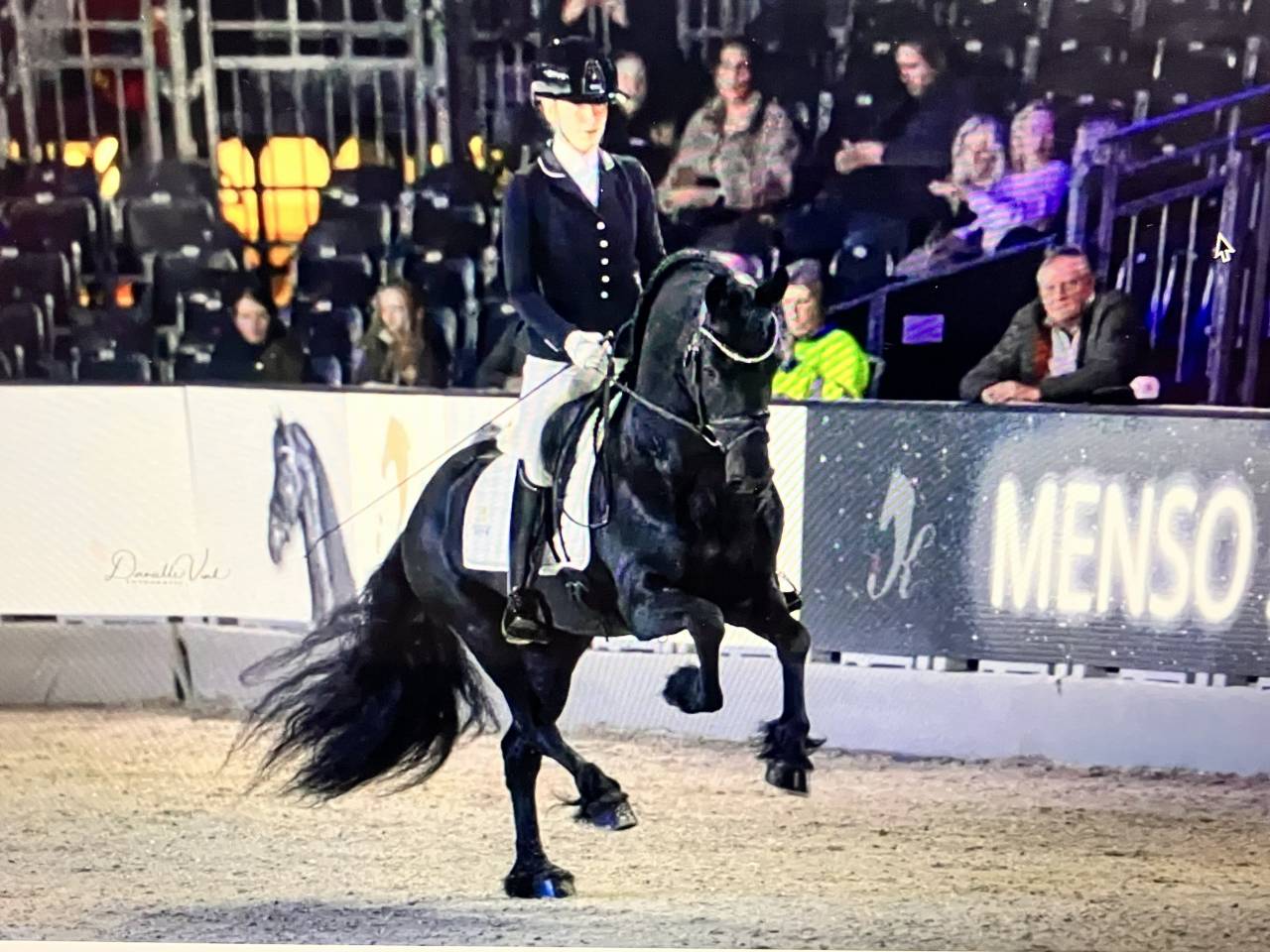 Potro Fris&oacute;n En venta 2026 Negro por Menso 542
