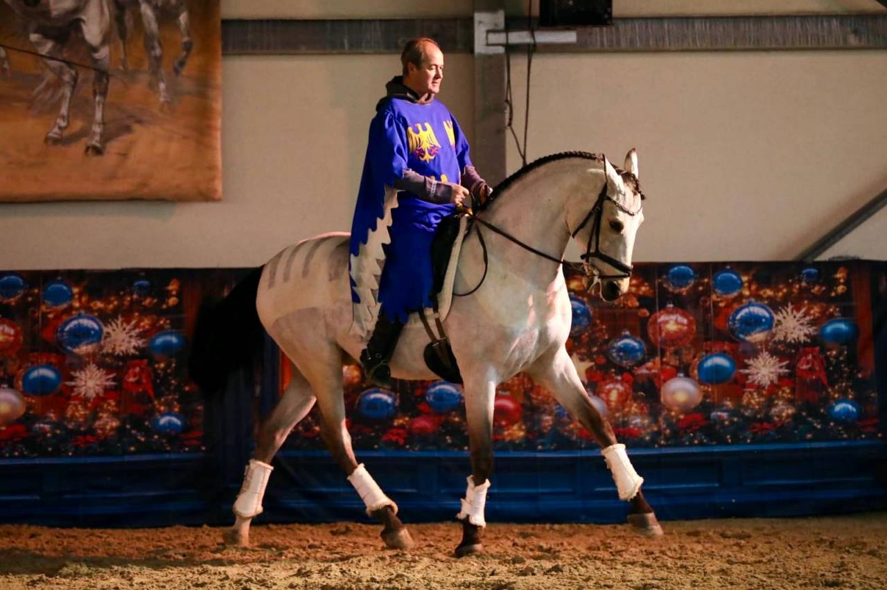 Caballo castrado Lusitano En venta 2017 Isabelo por HABLADOR