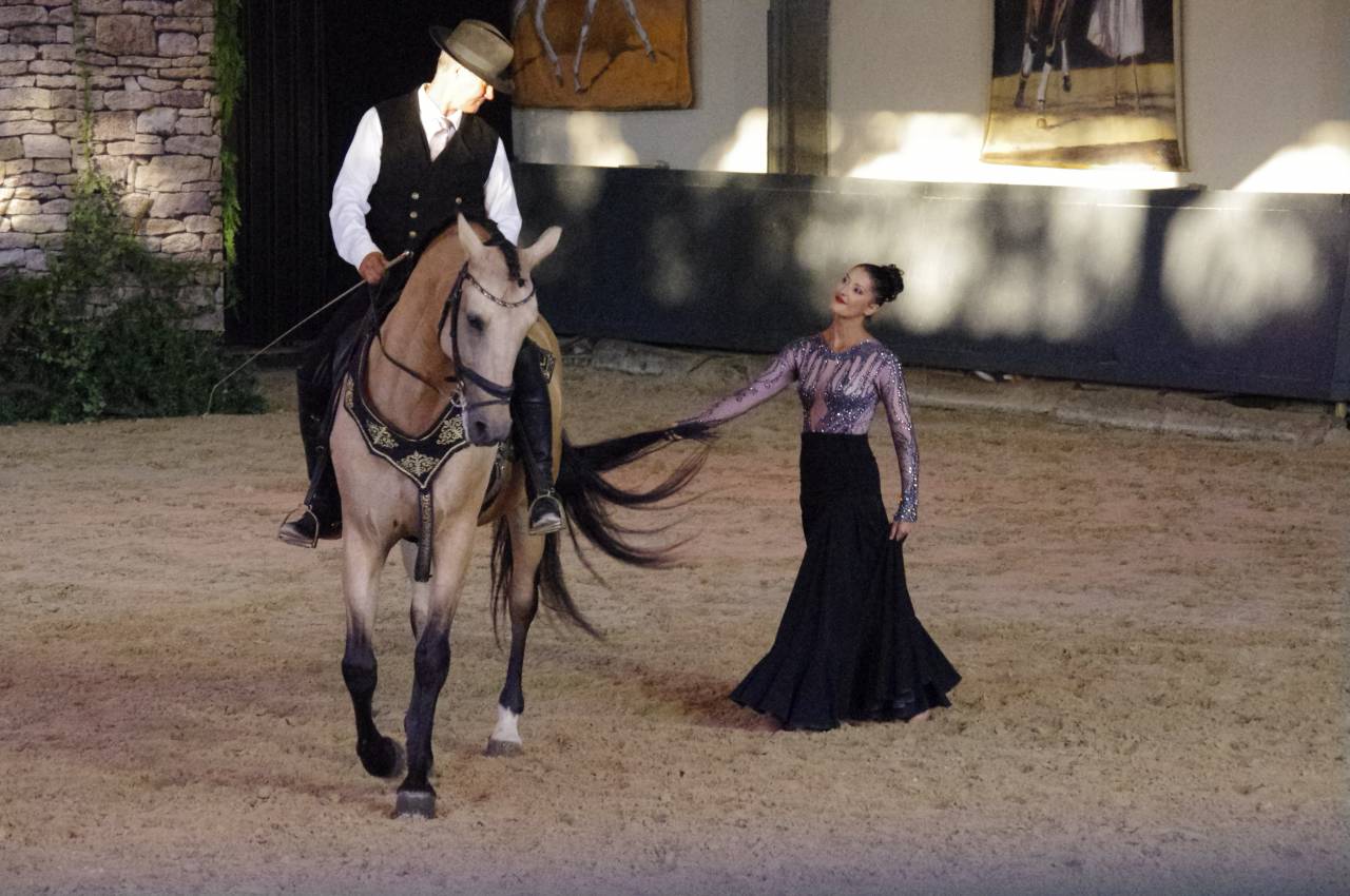 Caballo castrado Lusitano En venta 2017 Isabelo por HABLADOR