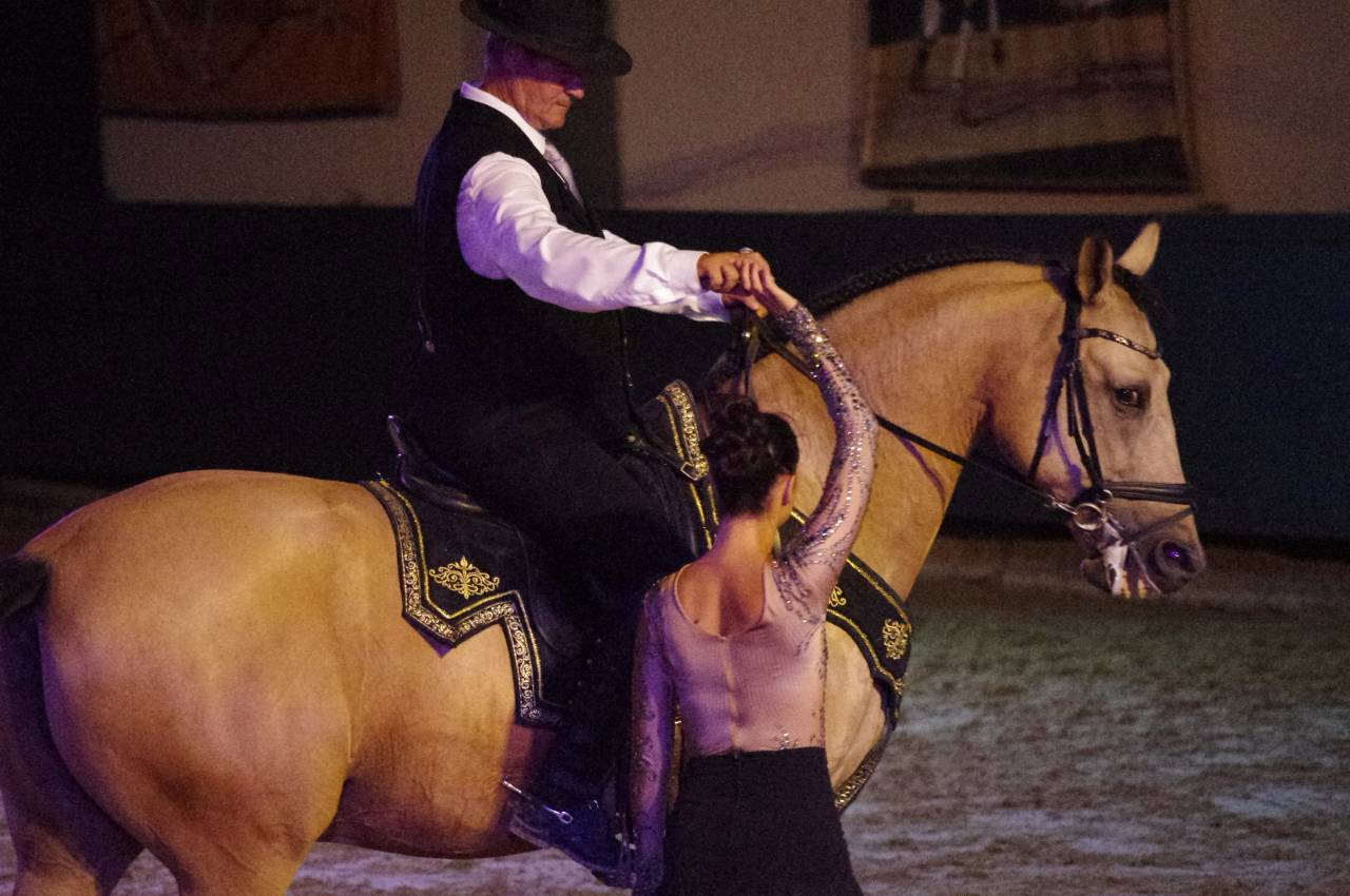 Caballo castrado Lusitano En venta 2017 Isabelo por HABLADOR