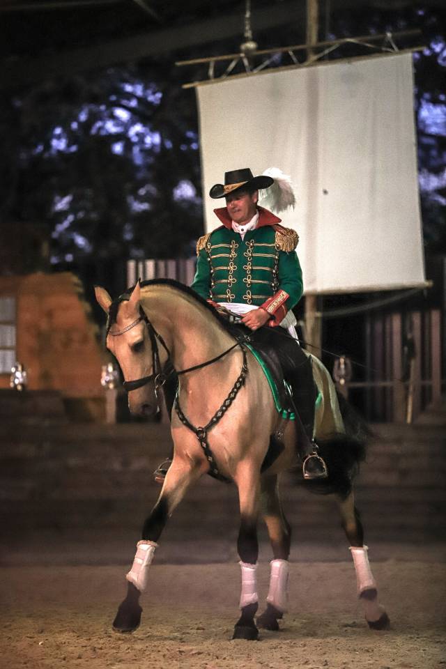 Caballo castrado Lusitano En venta 2017 Isabelo por HABLADOR