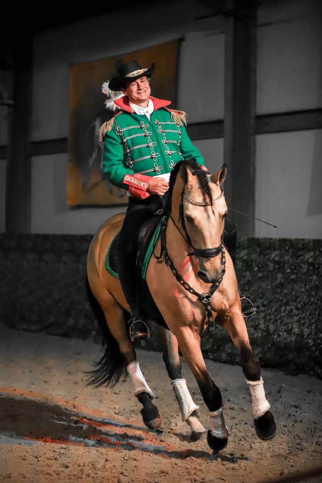 Caballo castrado Lusitano En venta 2017 Isabelo por HABLADOR