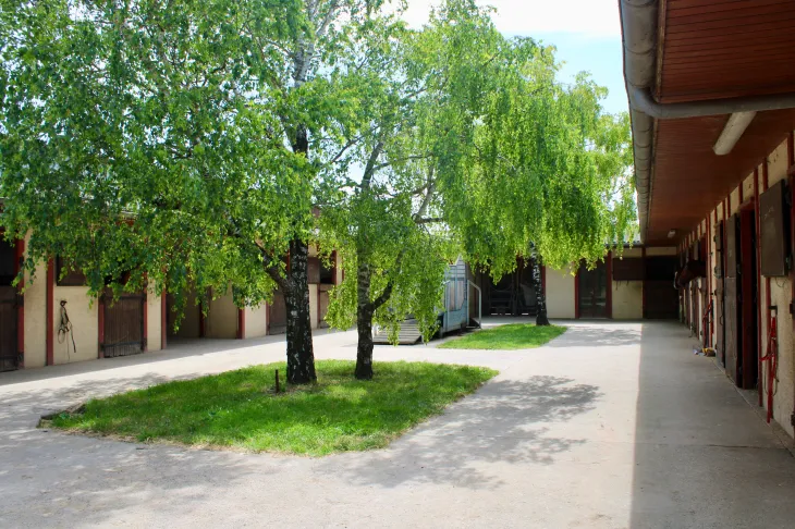Cuadra de carrera En venta Charente Mar&iacute;timo
