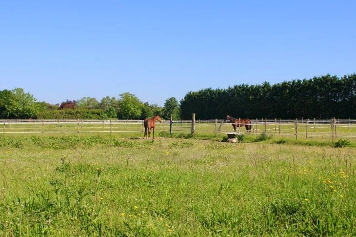 Cuadra de carrera En venta Charente Mar&iacute;timo
