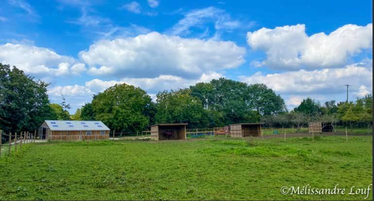 Propiedad ecuestre En venta Sena y Marne