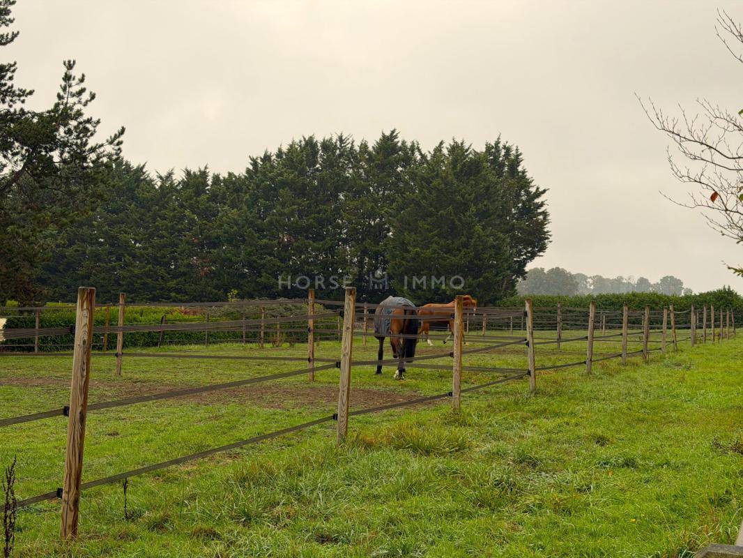 Propiedad ecuestre En venta Yvelines