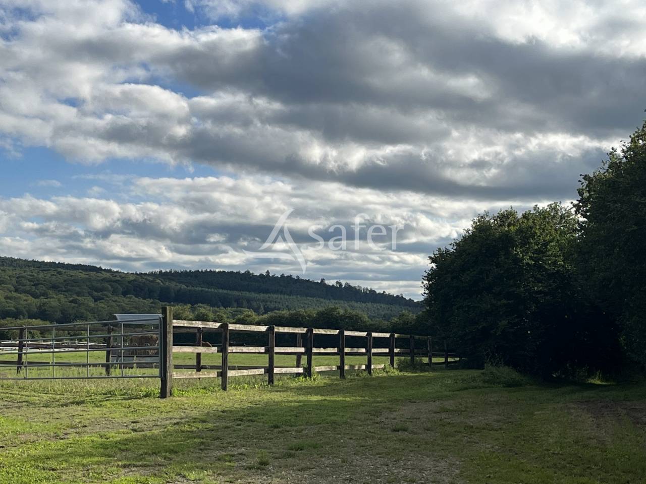 Explotaci&oacute;n forestal En venta Orne