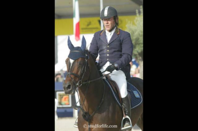 Toulon - BWP Caballo de Sangre Belga 1996 por HEARTBREAKER