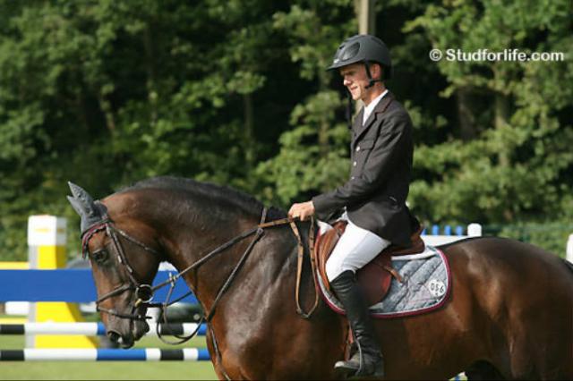 Toulon - BWP Caballo de Sangre Belga 1996 por HEARTBREAKER