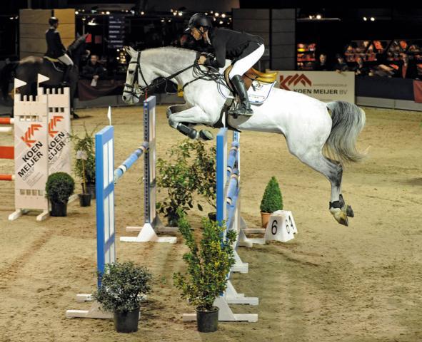 Clarimo - Holsteiner 2003 por CLEARWAY HOLST