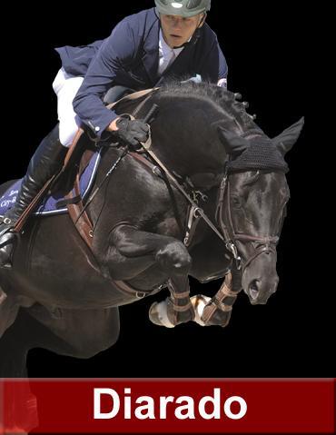 Diarado - Holsteiner 2005 por DIAMANT DE SEMILLY SFA