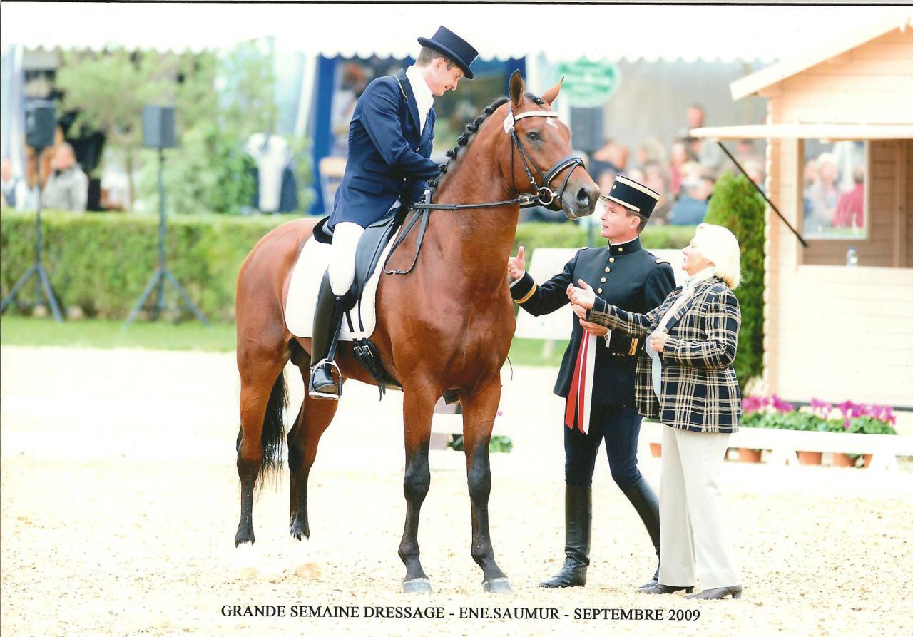 ZZ TOP - KWPN Caballo de Deporte Neerlandés 2004 por Glock's Tango