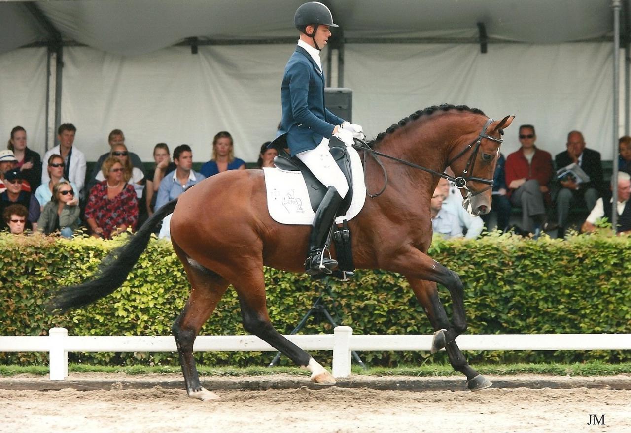 ZZ TOP - KWPN Caballo de Deporte Neerlandés 2004 por Glock's Tango