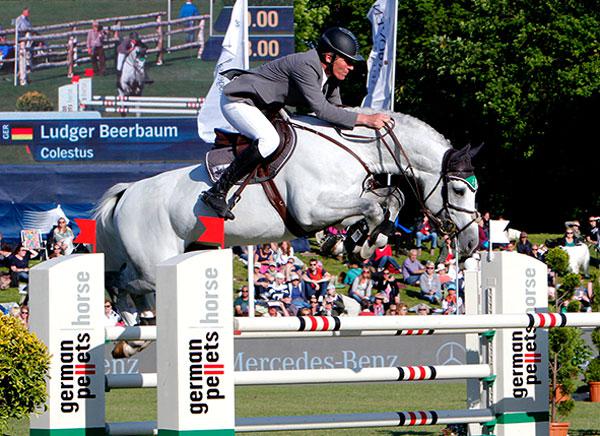 Colestus - Westfaliano 2006 por CORNET OBOLENSKY