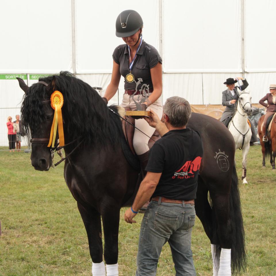 TENORIO DE VERLIN - PRE Pura Raza Española 2007 por NIGER V