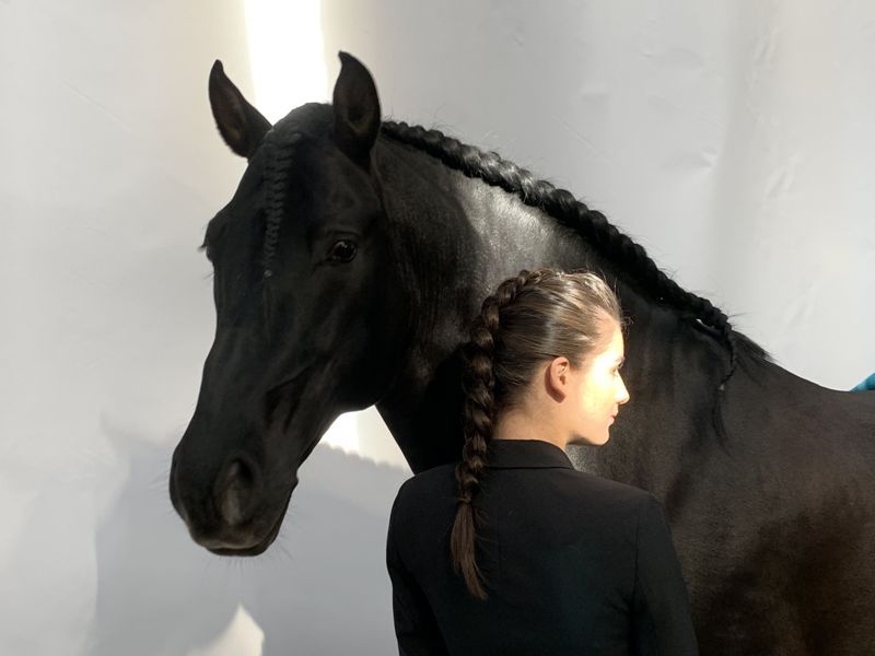 TENORIO DE VERLIN - PRE Pura Raza Española 2007 por NIGER V