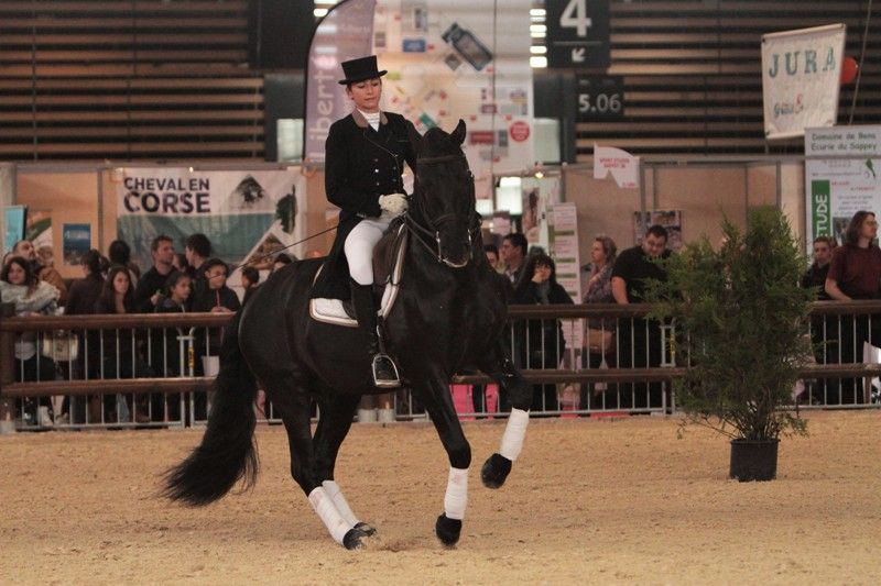 TENORIO DE VERLIN - PRE Pura Raza Española 2007 por NIGER V