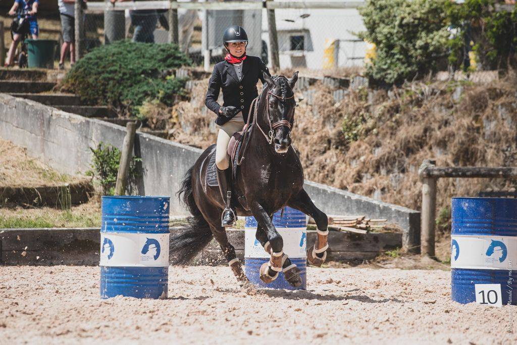 TENORIO DE VERLIN - PRE Pura Raza Española 2007 por NIGER V